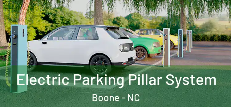  Electric Parking Pillar System Boone - NC