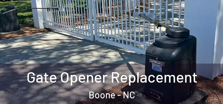  Gate Opener Replacement Boone - NC