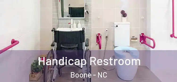 Handicap Restroom Boone - NC