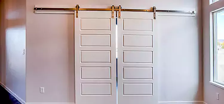 Glass Barn Door with Installation Hardware Kit Boone