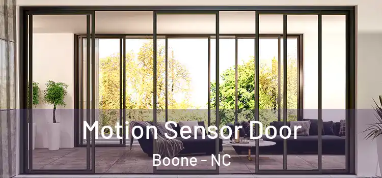 Motion Sensor Door Boone - NC